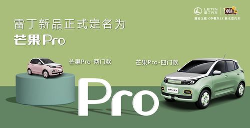 雷丁汽车新车定名芒果Pro 双门 四门可选