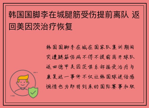 韩国国脚李在城腿筋受伤提前离队 返回美因茨治疗恢复
